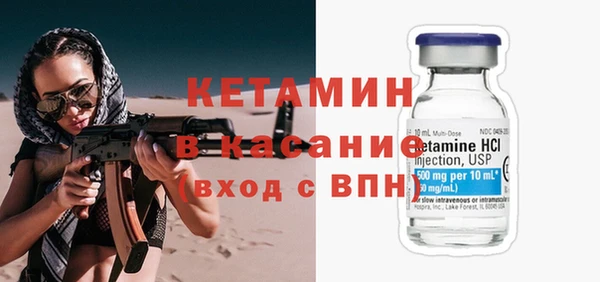 прущие грибы Елабуга