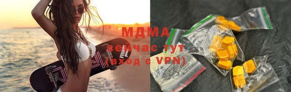 прущие грибы Елабуга