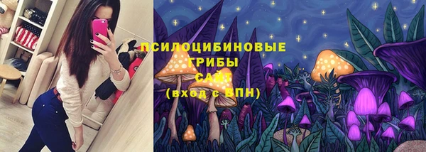 дурь Дмитровск