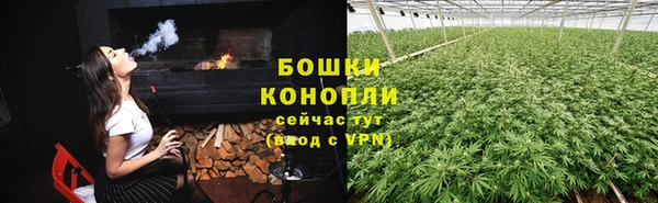 МДМА Ельня