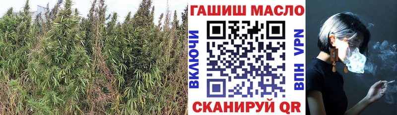 ТГК вейп  Купить закладки  Болгар 